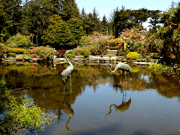 Shore-Acres-State-Park4