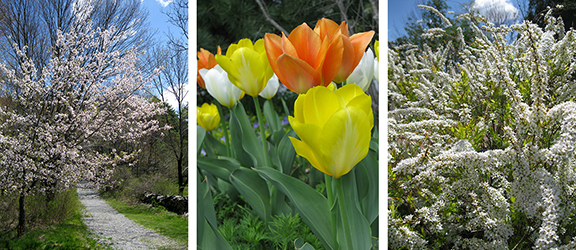 Tower-Hill-Botanic-Garden15