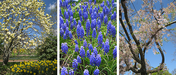 Tower-Hill-Botanic-Garden16