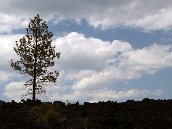 Trail-of-the-Moulten-Land-Newberry-National-Volcanic-Monument2