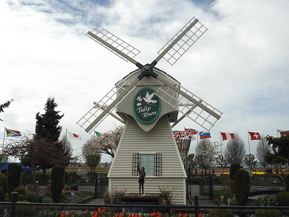 Tulip-Town-Skagit-Valley1