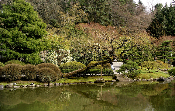 Washington-Park-Arboretum-Seattle-spring2