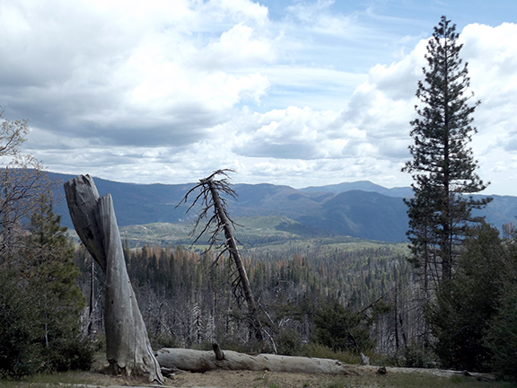 Yosemite-National-Park4