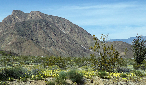 Anza-Borrego-Desert-State-Park11