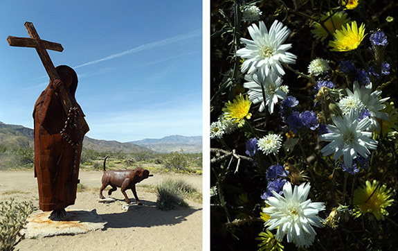 Anza-Borrego-Desert-State-Park2