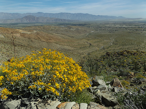 Anza-Borrego-Desert-State-Park21
