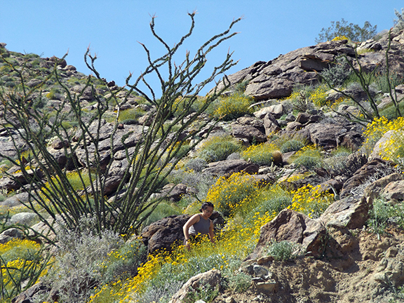 Anza-Borrego-Desert-State-Park8