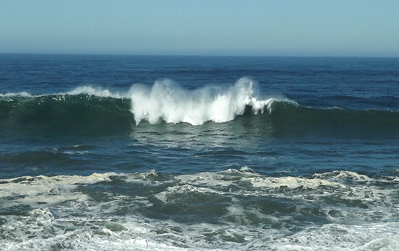 Boiler-Bay-near-Depot-Bay4