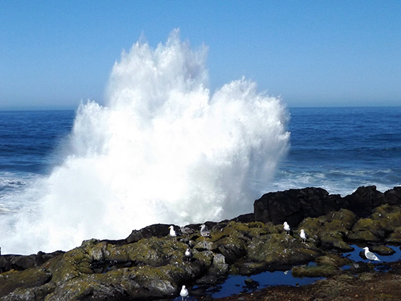 Boiler-Bay-near-Depot-Bay7