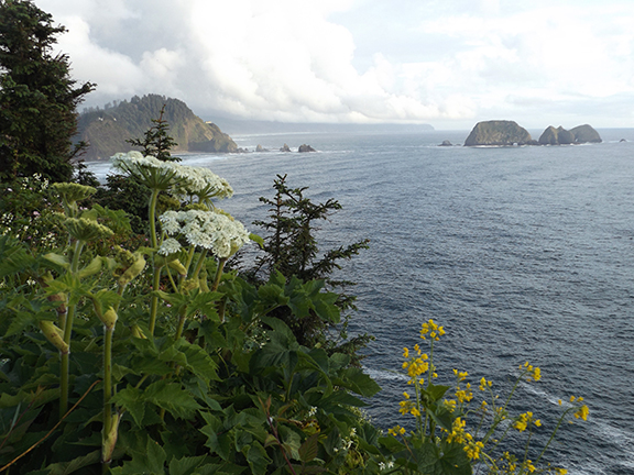 Cape-Meares-Lighthouse-and-Scenic-Viewpoint8