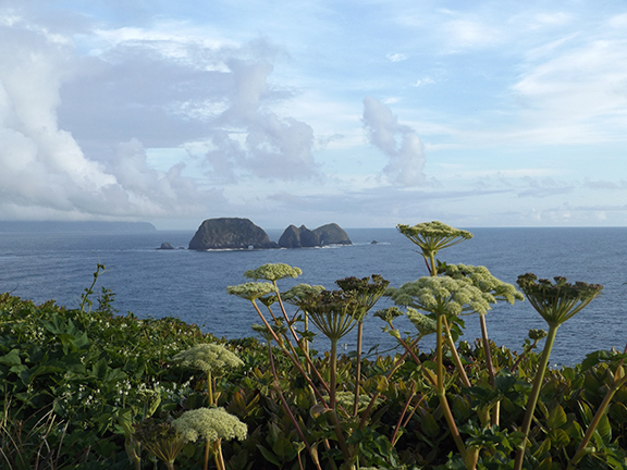 Cape-Meares-Lighthouse-and-Scenic-Viewpoint9