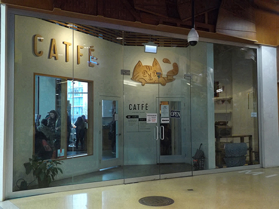 Catfe-Vancouver-British-Columbia2