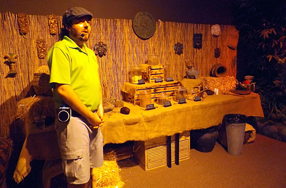 Chocolate-Museum-and-Cafe-Orlando-rainforest