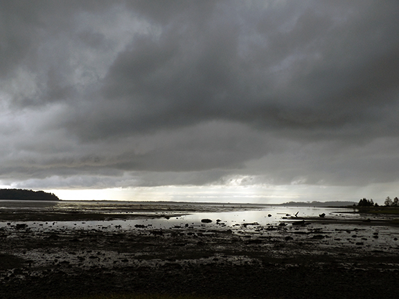 ​Kilchis-Point-Reserve10