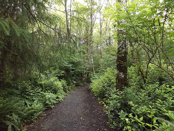 ​Kilchis-Point-Reserve5