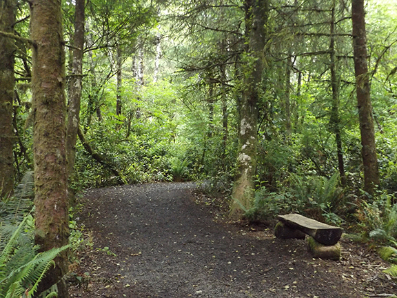 ​Kilchis-Point-Reserve6