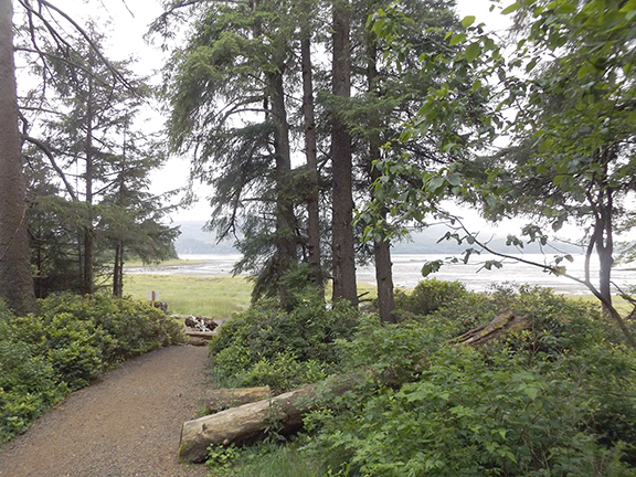 ​Kilchis-Point-Reserve9