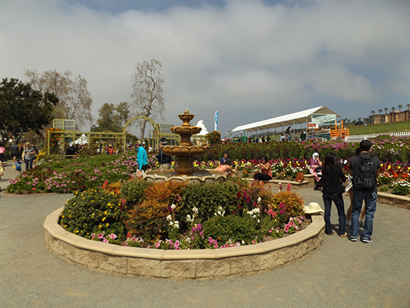 Flower-Fields-Carlsbad-California9