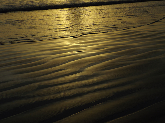 Haystack Rock-Cannon Beach10