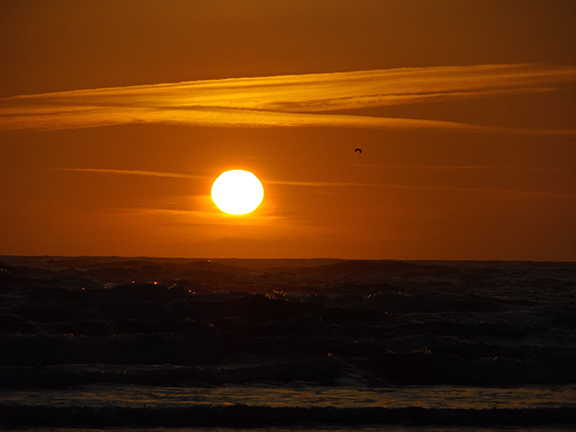 Haystack Rock-Cannon Beach13