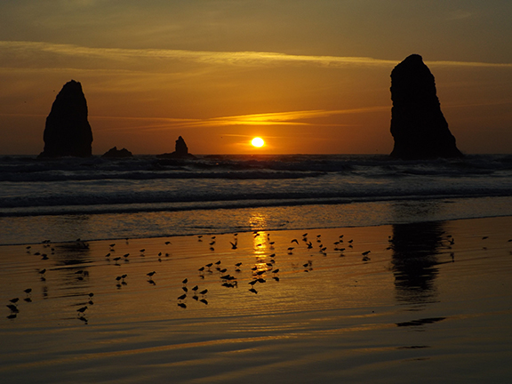 Haystack Rock-Cannon Beach17