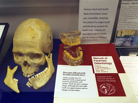 International-Police-Museum-Rockaway-Beach-Oregon5