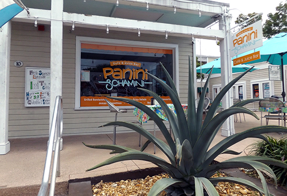 Panini-Schamini