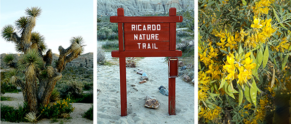 Ricardo-Nature-Trail-Red-Rock-Canyon-State-Park