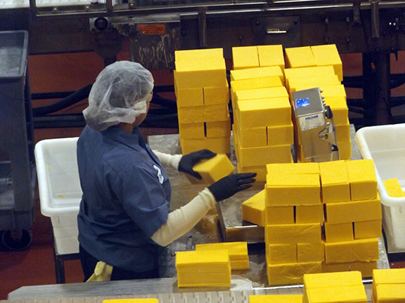 Tillamook-Creamery12