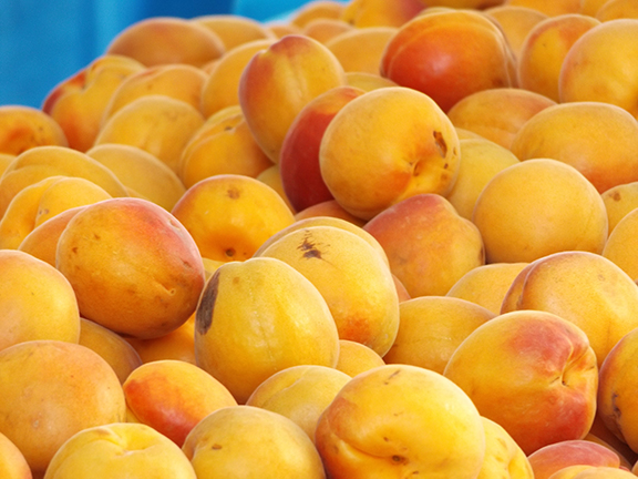 Vancouver-Farmers-Market-peaches