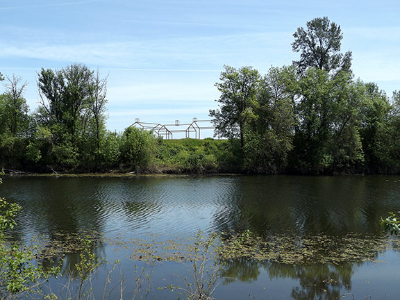 Willamette-Mission-State-Park10