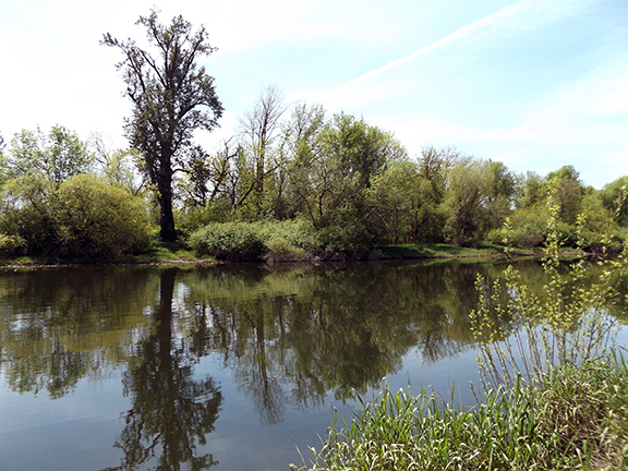 Willamette-Mission-State-Park3