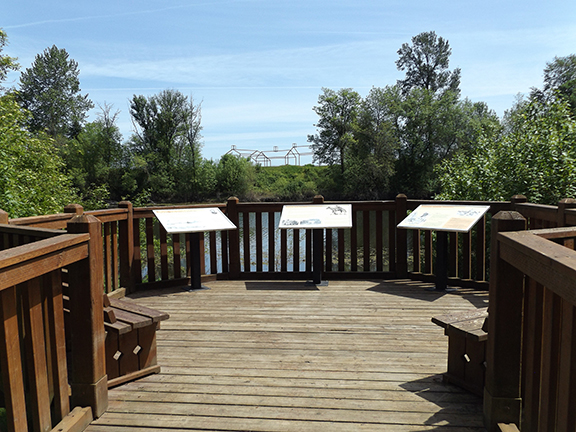 Willamette-Mission-State-Park9