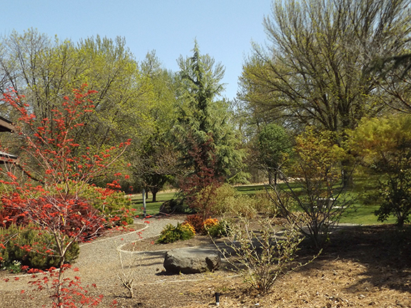 Yakima-Area-Arboretum10