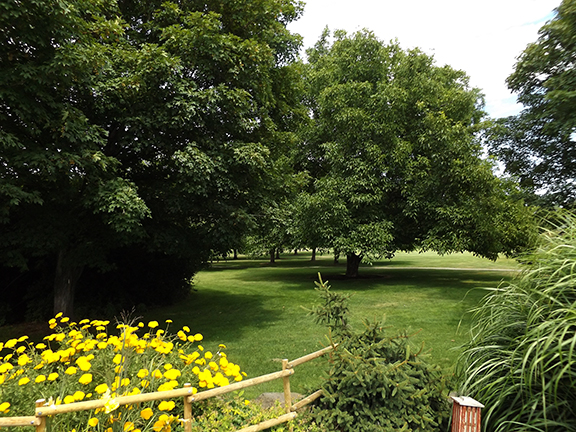 Yakima-Area-Arboretum15