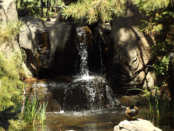 Yakima-Area-Arboretum9