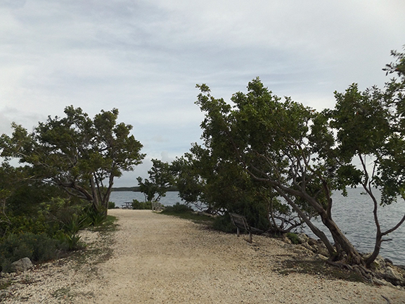Biscayne-National-Park10