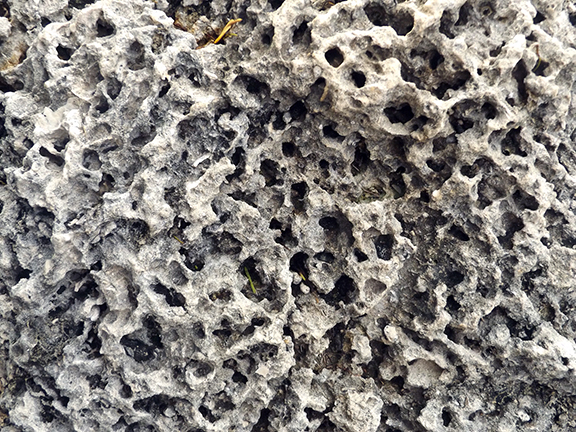 Biscayne-National-Park13