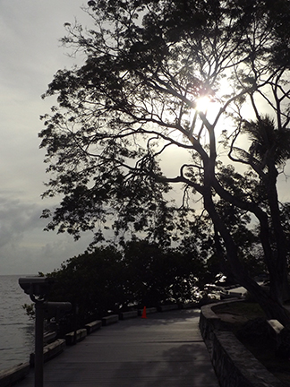 Biscayne-National-Park5