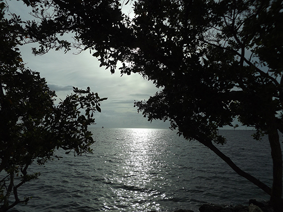 Biscayne-National-Park9