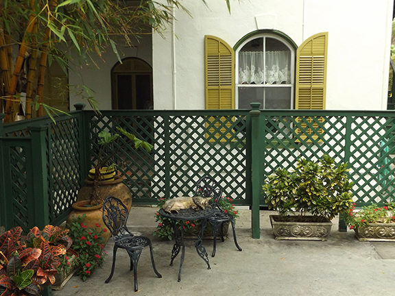 cat-in-courtyard-Ernest-Hemingway-House-Museum-Key-West