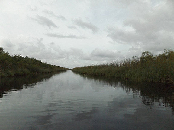 Coopertown-Air-Boat-Tours-Everglades14