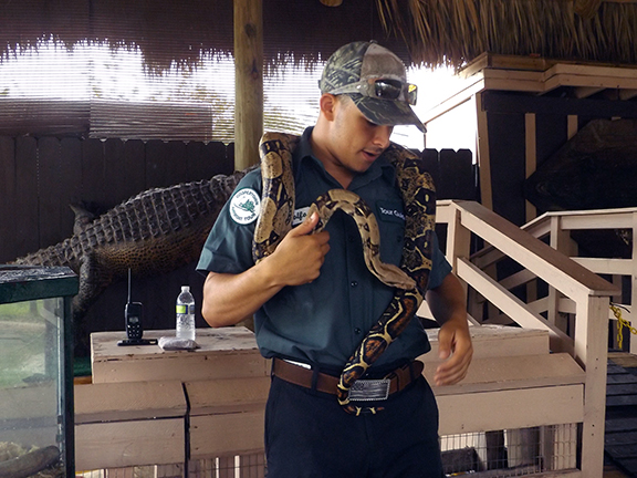 Coopertown-Air-Boat-Tours-Everglades17