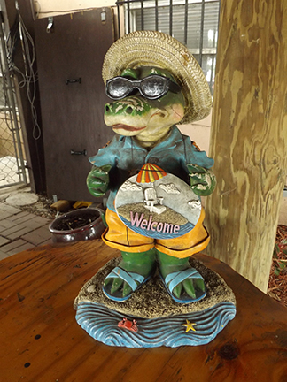 Coopertown-Air-Boat-Tours-Everglades4