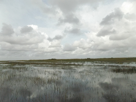 Coopertown-Air-Boat-Tours-Everglades6