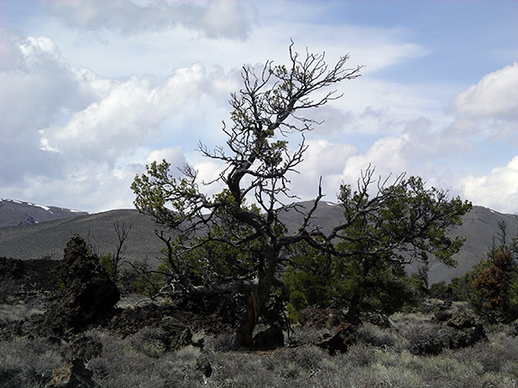 Craters-of-the-Moon-National-Monument5