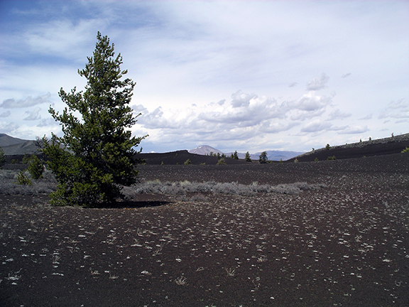 Craters-of-the-Moon-National-Monument6