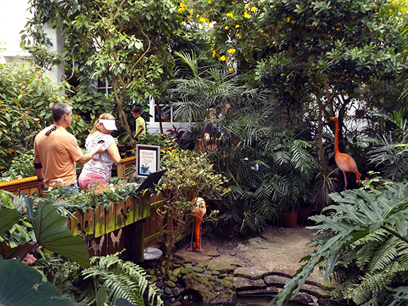 Key-West-Butterfly-and-Nature-Conservatory