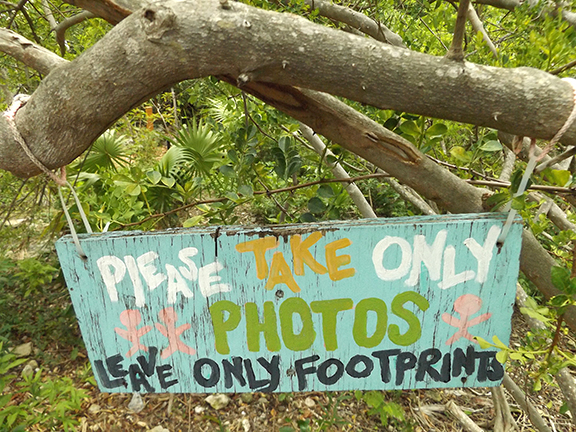 Key-West-Tropical-Forest-and-Botanical-Garden11