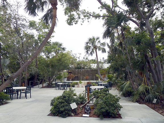 Key-West-Tropical-Forest-and-Botanical-Garden2